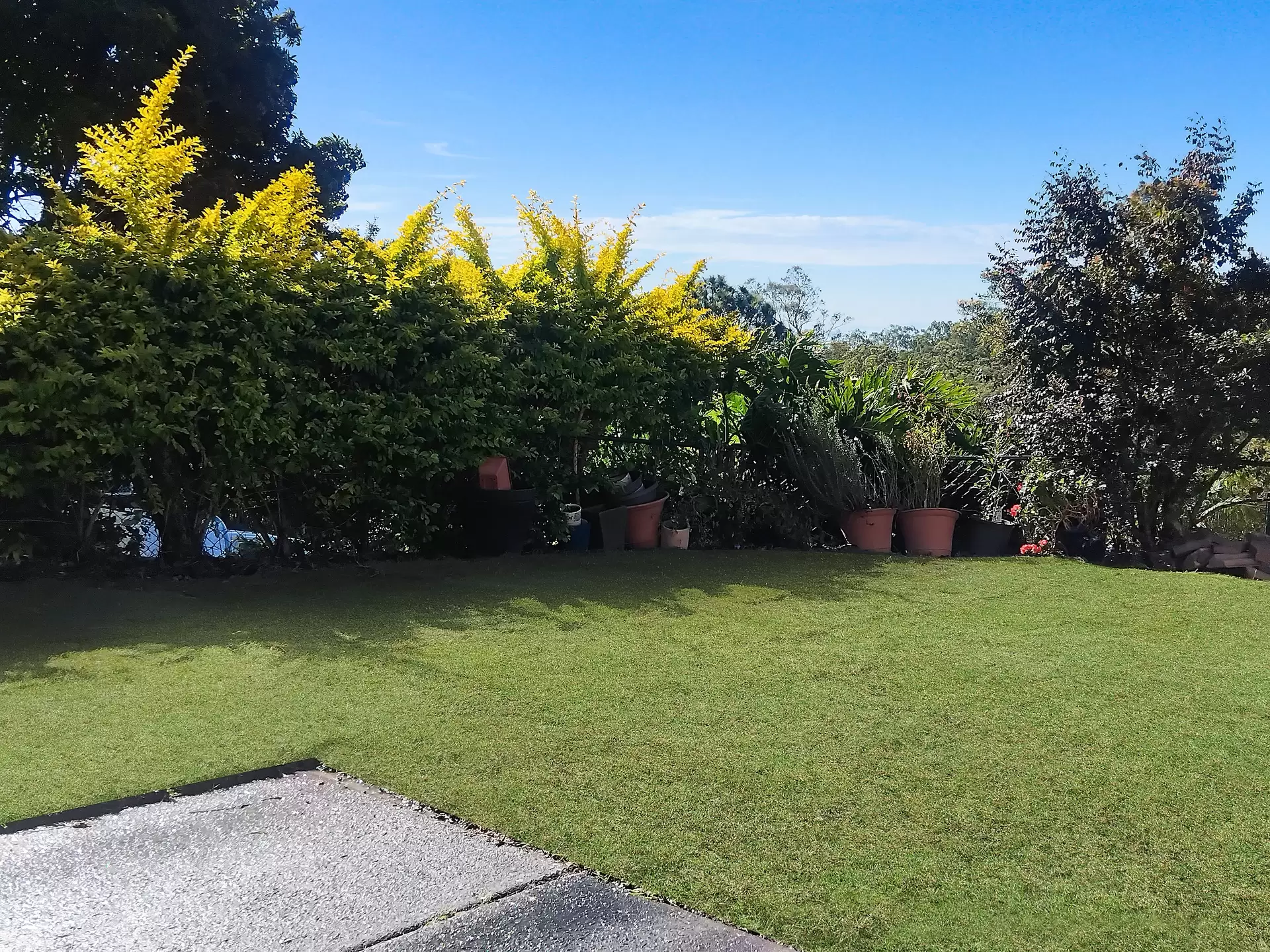 Photo #15: 11 Pinebark Avenue, Oxenford - Sold by Drew Property Group